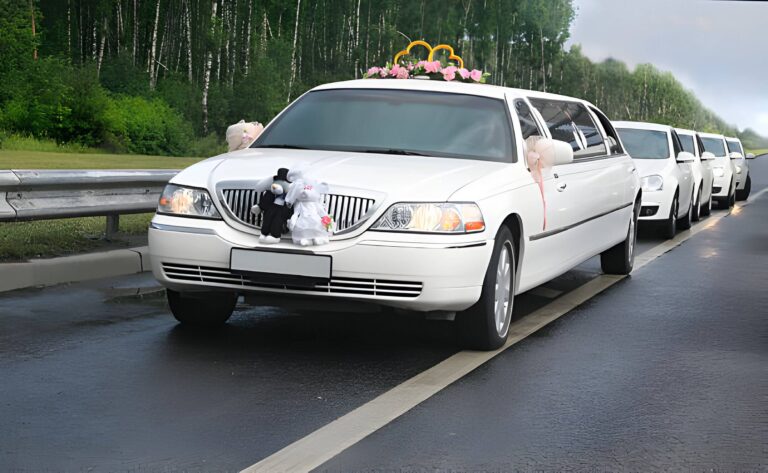 Luxury Transportation For VIPs
